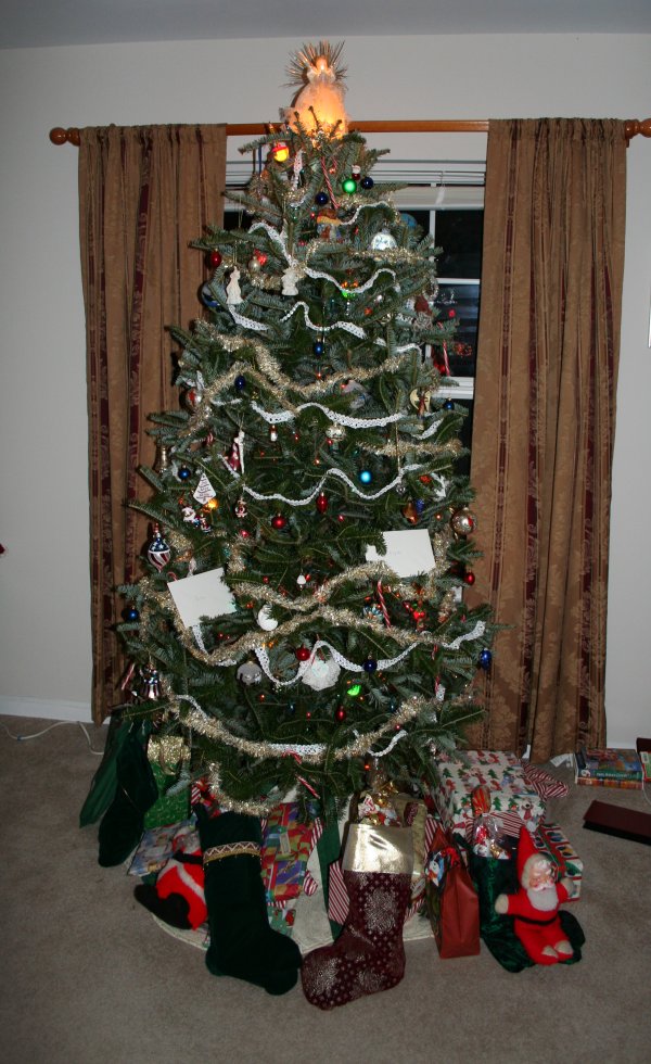 Last year's Christmas Tree