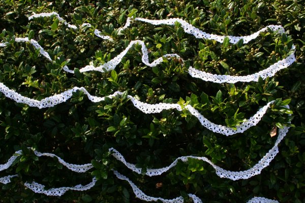 I had first tried to photograph the garland on the holly bushes in front of our house, but the shots weren't coming out like I wanted.