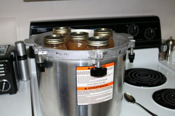 Two layers of pints in pressure canner
