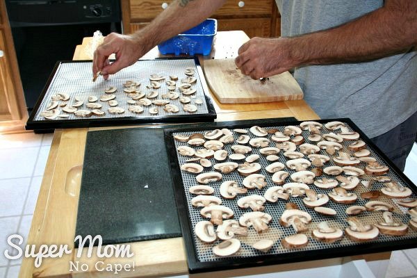  Placing slicee mushrooms on dehydrator trays