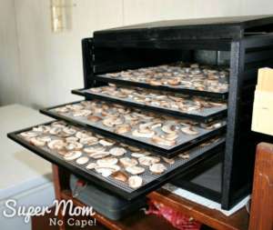 Dehydrating Mushrooms - Simple How To Instructions - Simple How To ...
