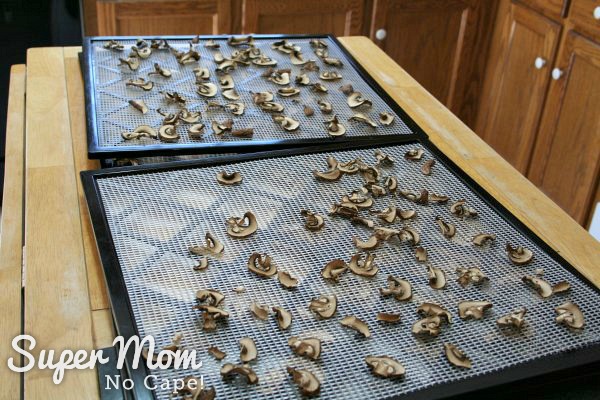 Trays of mushroom after being dehydrated