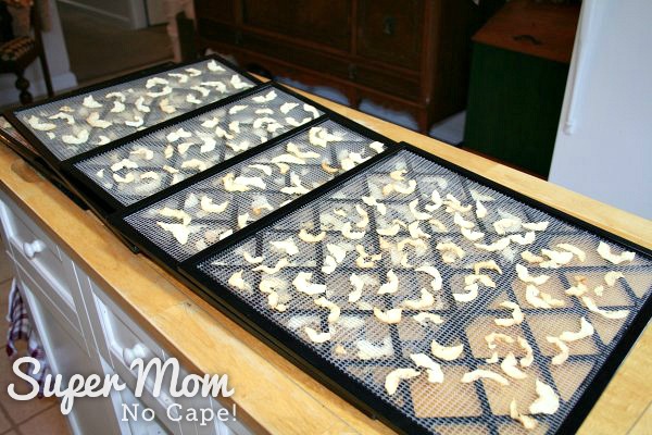 Trays of dried pears ready to put into bags for storage