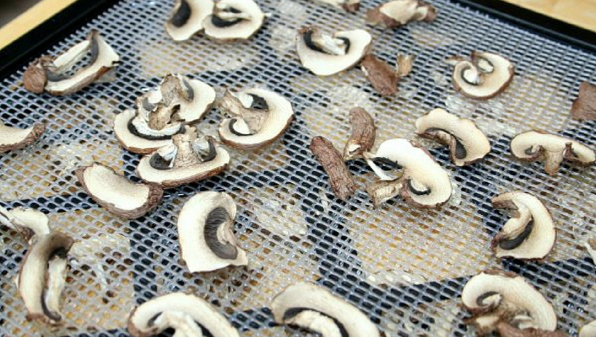 Dehydrating Mushrooms – Simple How To Instructions