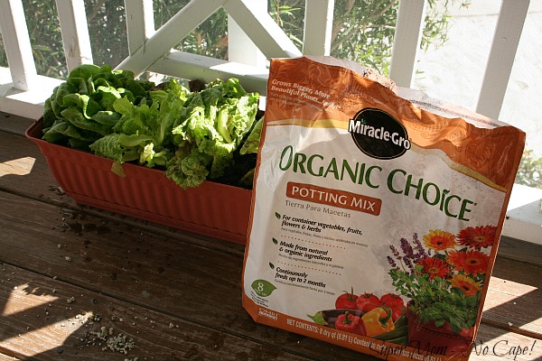 Organic Potting Soil Mix