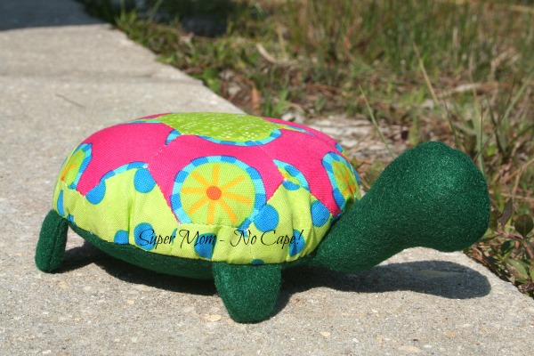 Lexie the Hexie Turtle's New BFF