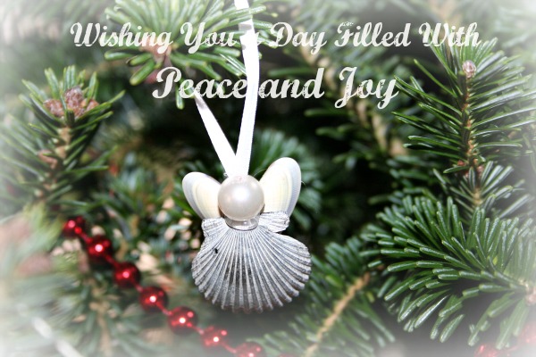 Photo of Seashell Angel