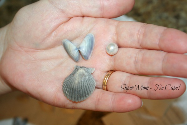scallop shell, two halves of clam shells and one bead