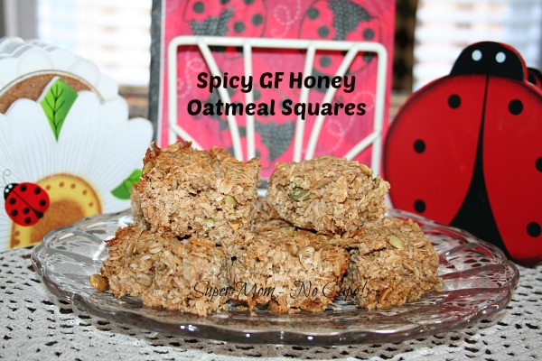 Spicy GF Honey Oatmeal Squares