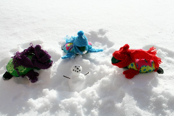 Lexie, Lanie and Rexie made a snowman.