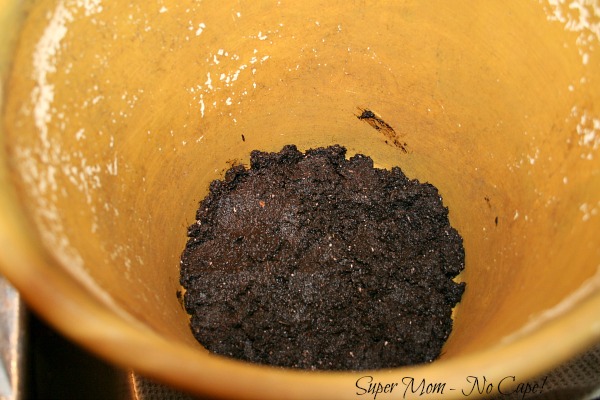 Layer of potting soil in the bottom of the pot