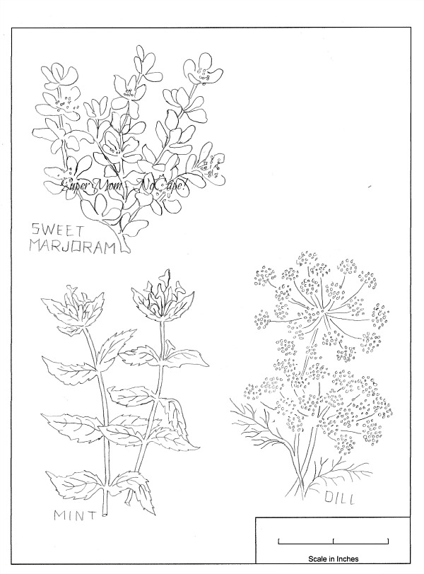 Vintage Workbasket Embroidery Pattern for mint, dill and sweet marjoram