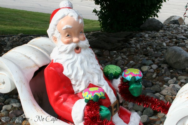 Hexie Turtles sitting with Santa in his sleigh