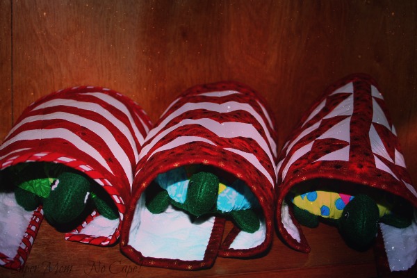  Turtles wrapped in their quilts ready for bed