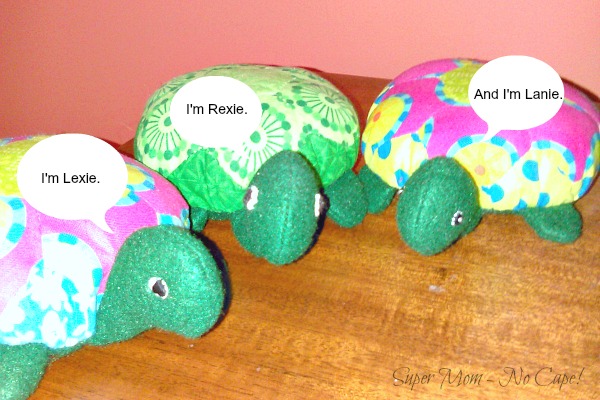 The Hexie Turtle introducing themselves