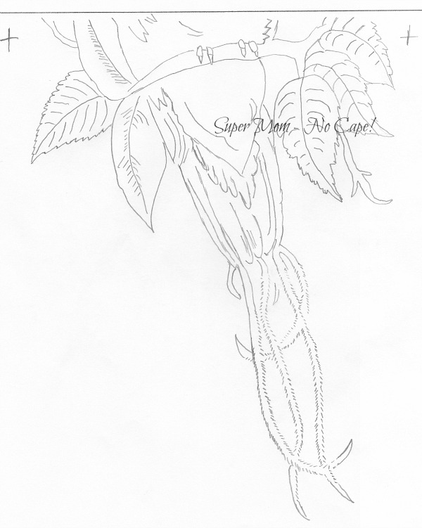 Vintage Workbasket pattern for Tufted Tropical Bird from page 2-949 part 2