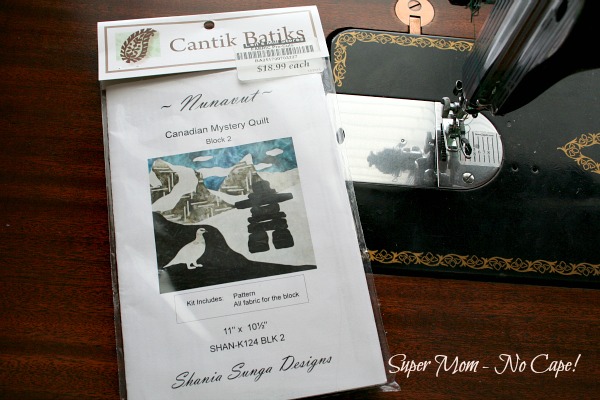 Canadian Mystery Quilt Nanavut block