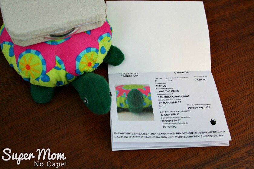 Lanie the Hexie Turtle with her passport