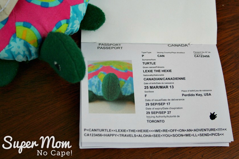 Lexie the Hexie Turtle with her passport