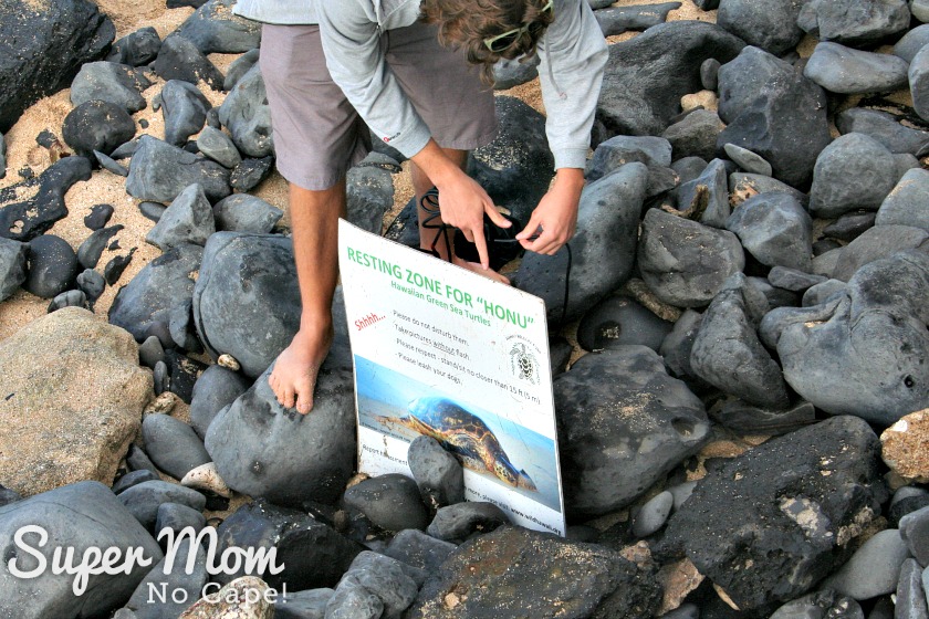 Resting zone for Honu sign at Hookipa