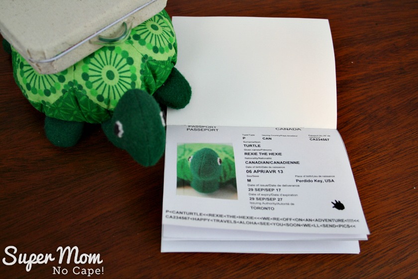 Rexie the Hexie Turtle with his passport
