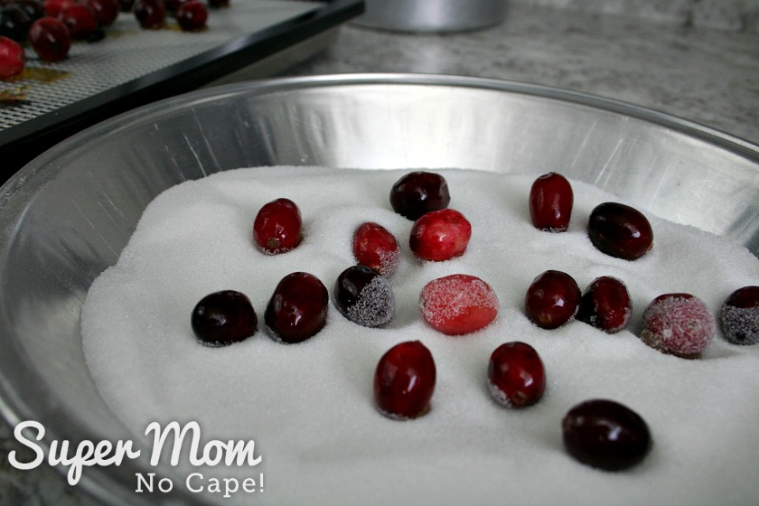 White granulated sugar in dish with candied cranberries