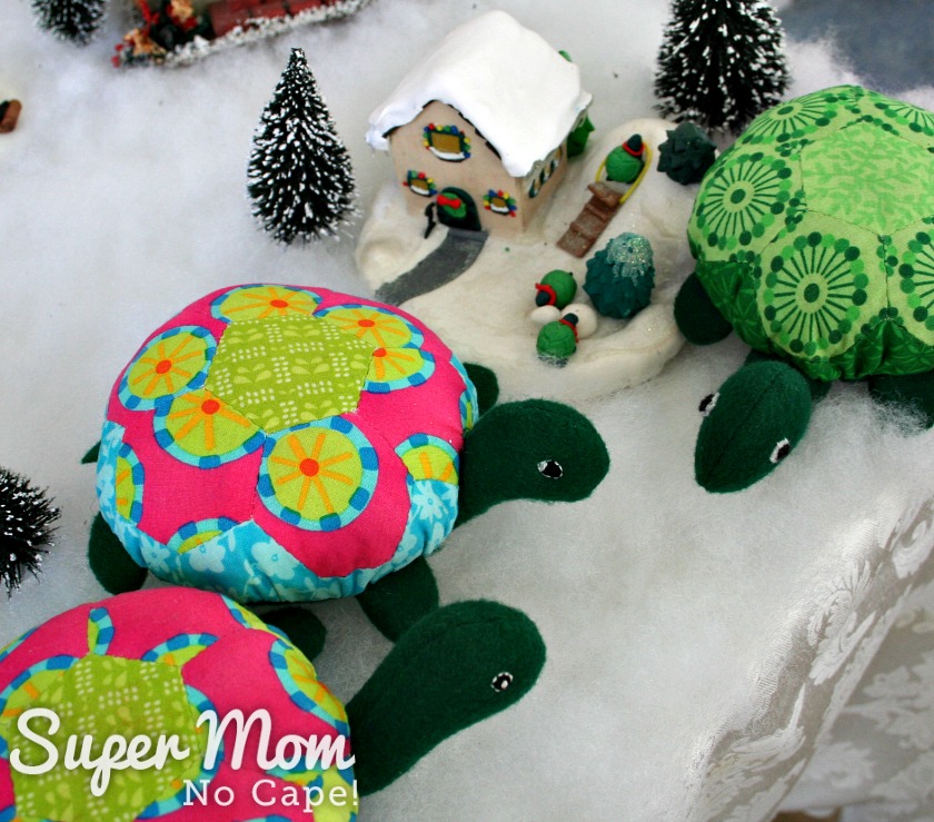 Hexie Turtles beside their snow village house