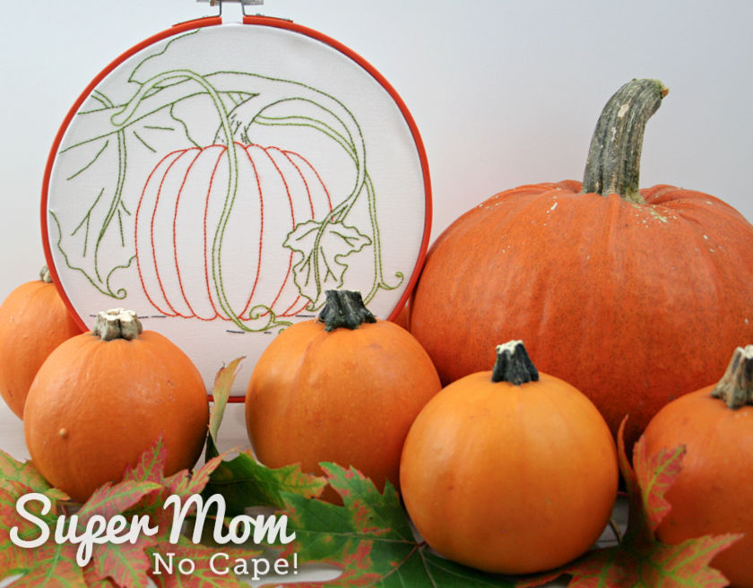Pumpkin Harvest Time Embroidery Hoop Art displayed several with different sized pie pumpkins.