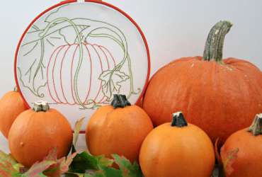 Pumpkin Harvest Time Embroidery framed in orange hoop displayed with small and medium sized pie pumpkins and fall leaves.